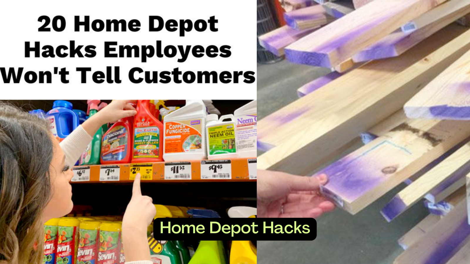 Home Depot