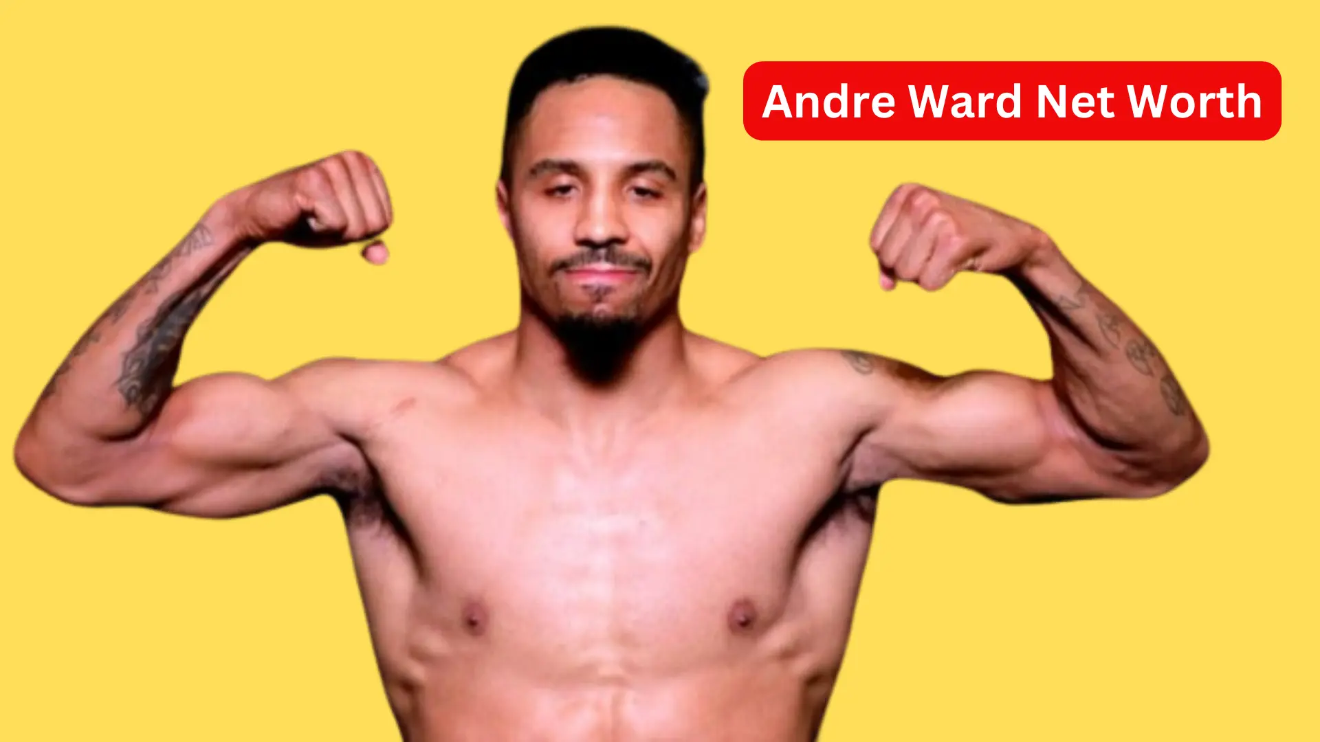 Andre Ward Net Worth