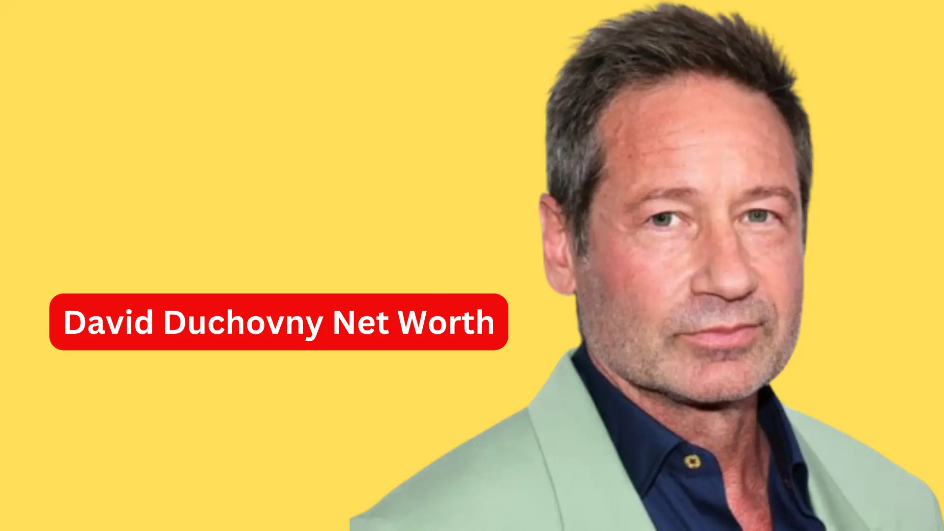 David Duchovny Net Worth