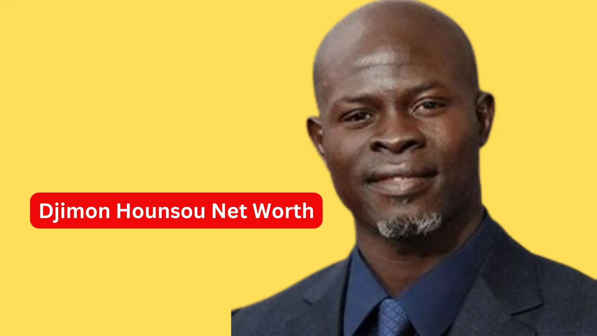 Djimon Hounsou Net Worth