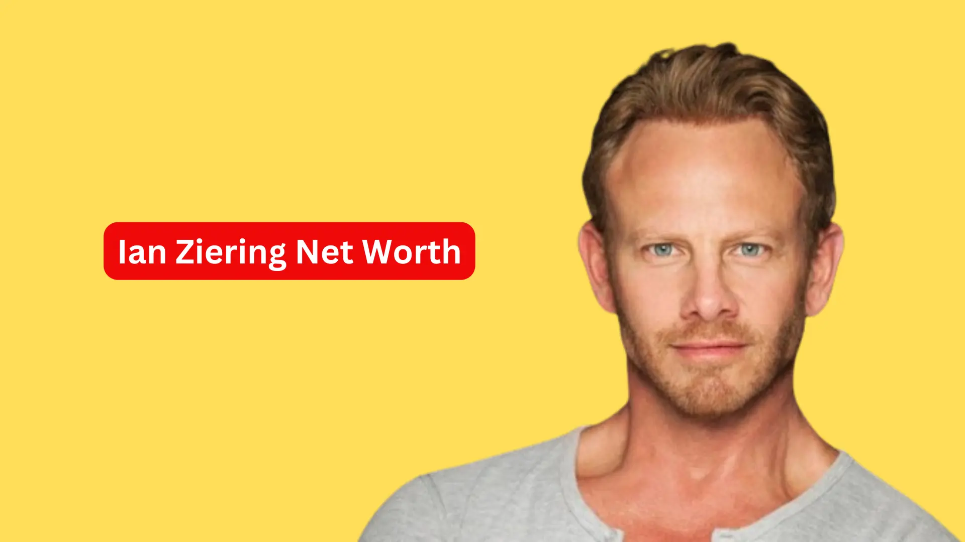 Ian Ziering Net Worth