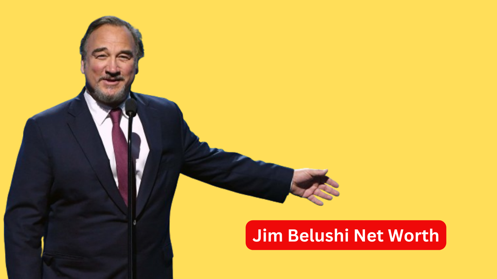 Jim Belushi Net Worth