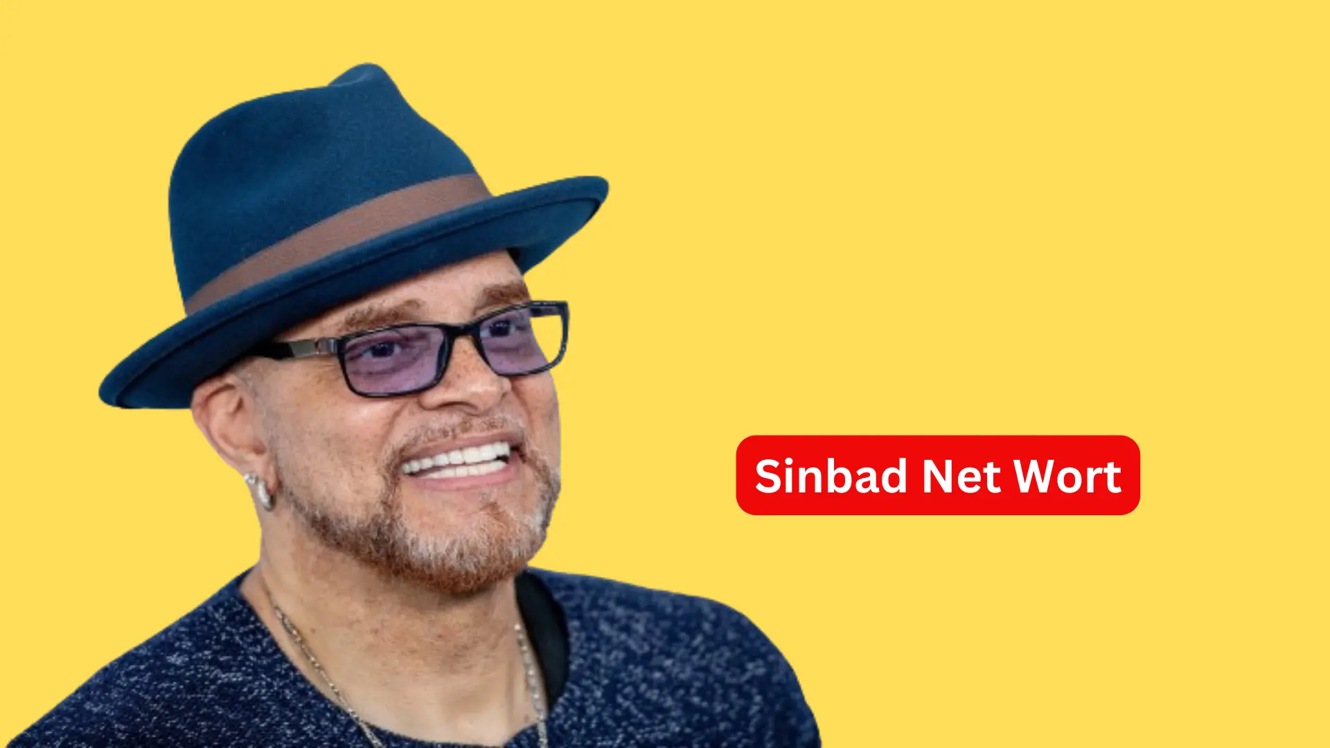 Sinbad Net Wort