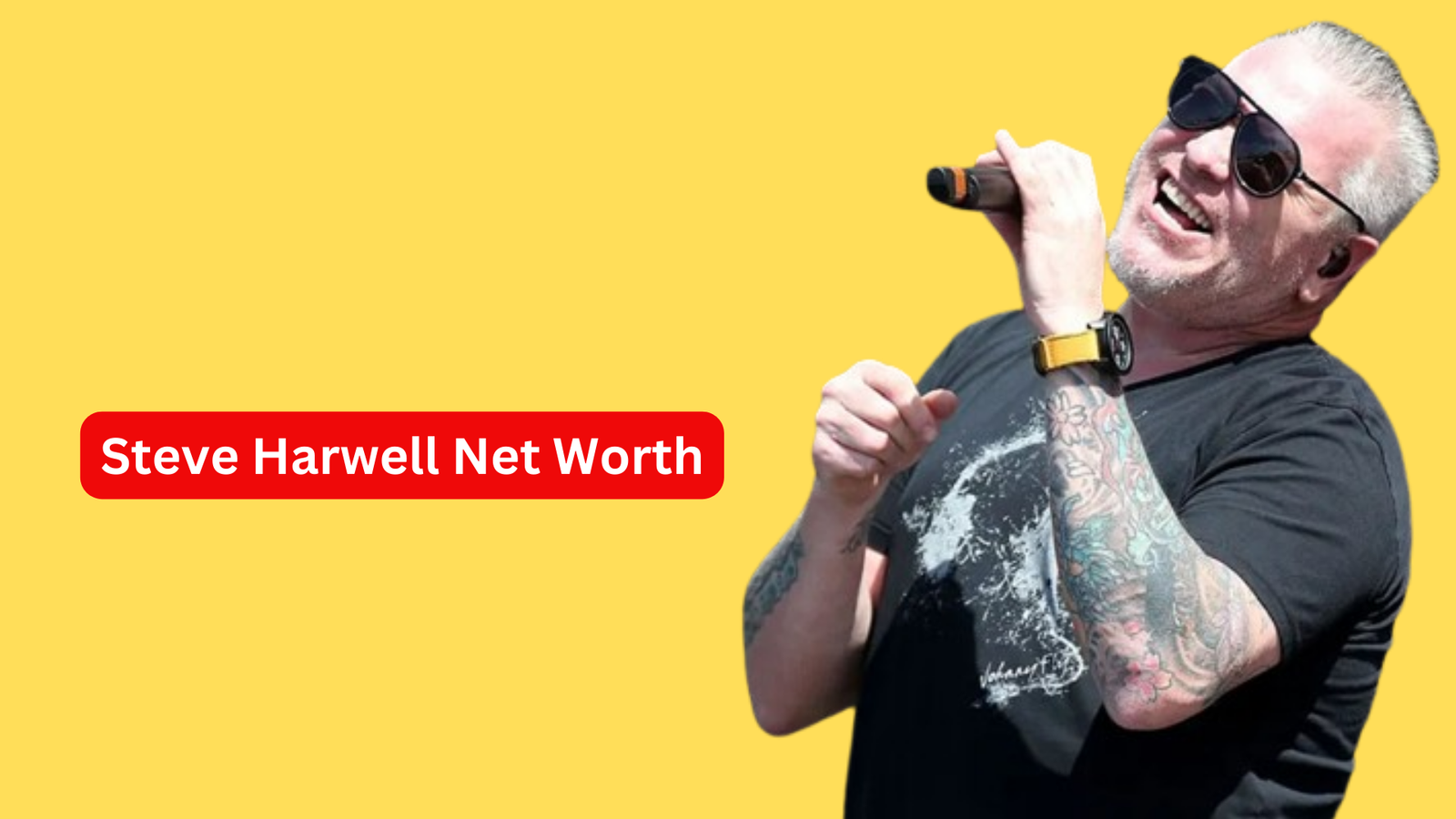 Steve Harwell Net Worth