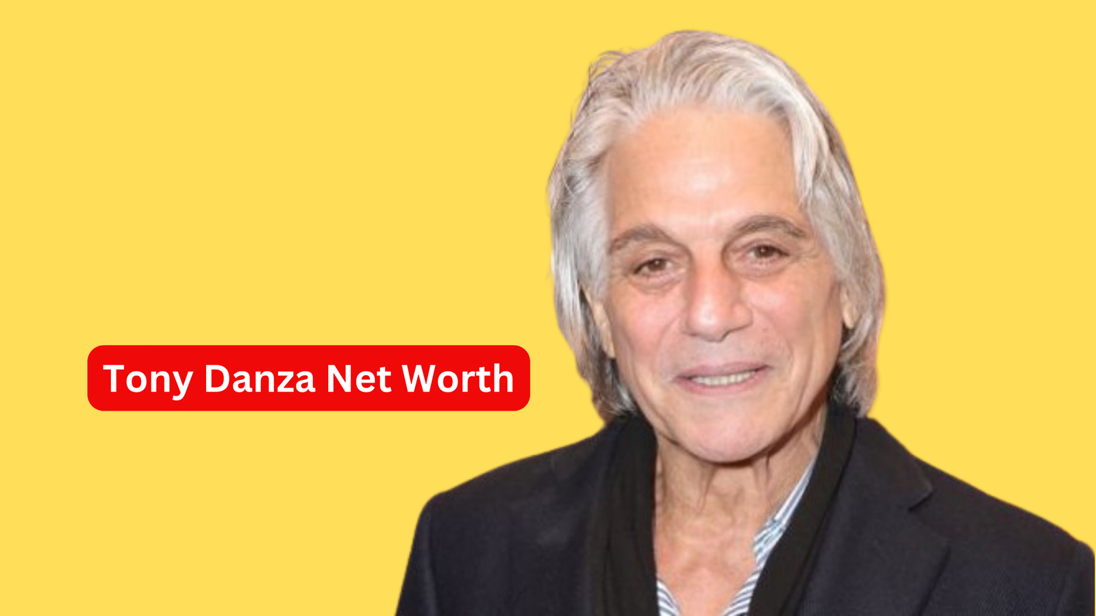 Tony Danza Net Worth