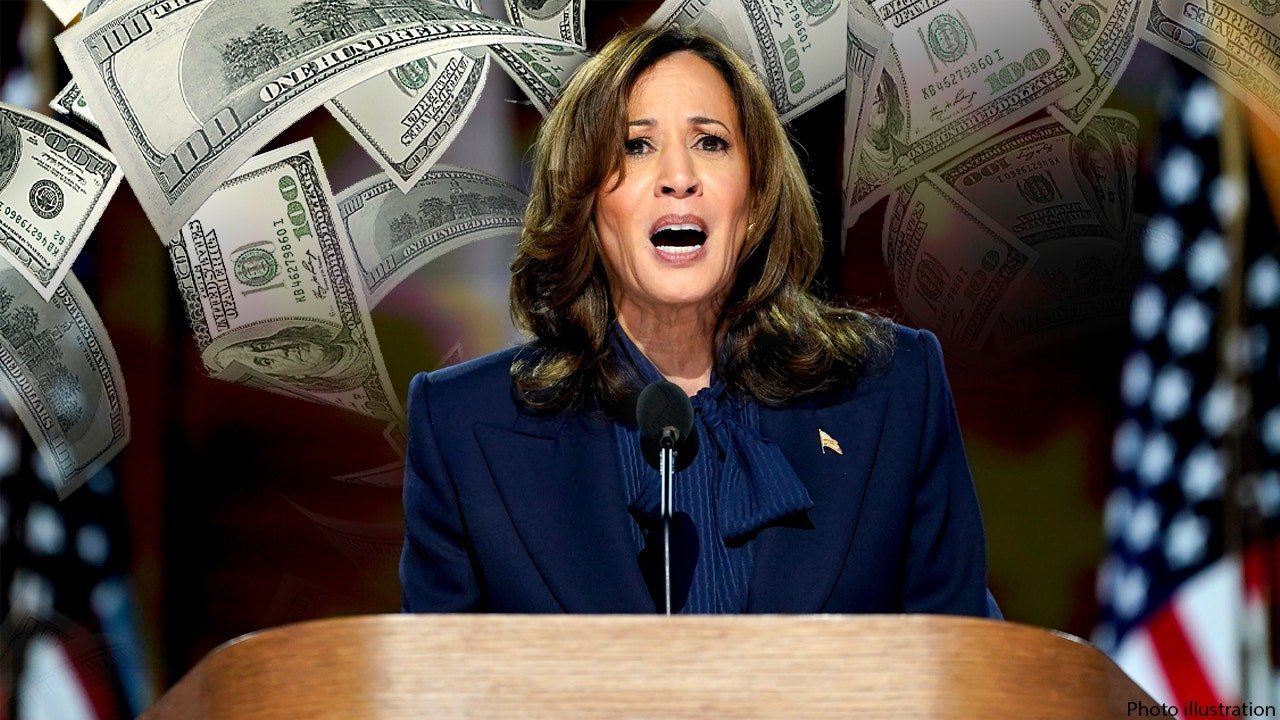 Experts react to Harris' plan to tax unrealized capital gains: 'Voodoo economics'