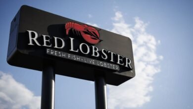 Red Lobster bankruptcy forces CEO switch