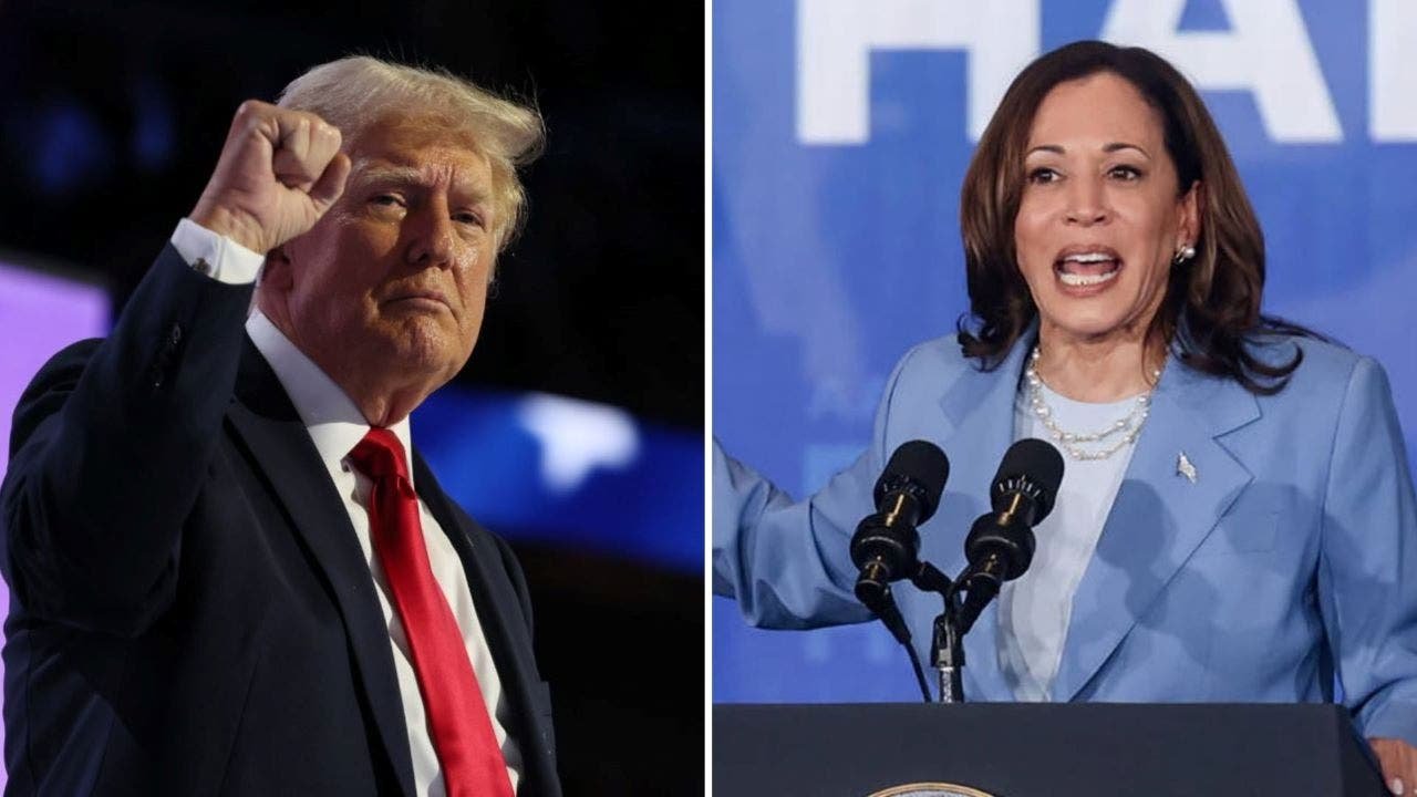 Trump and Harris support ending taxes on tips: what do experts think?