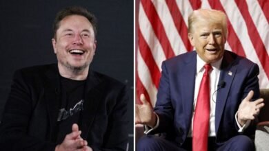 Trump says he 'certainly would' give Elon Musk job in administration