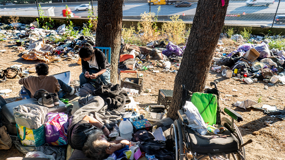 Seattle Homeless